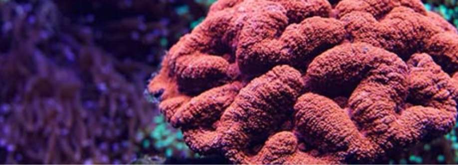 atomic reef Cover Image