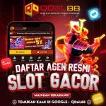 QDAL88 Profile Picture