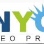 Nyc seo Pro Profile Picture