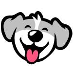 David Official Profile Picture