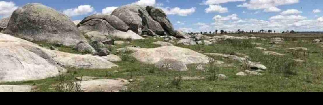 Environment And Heritage Impact Assessment Guideline: A Complete...