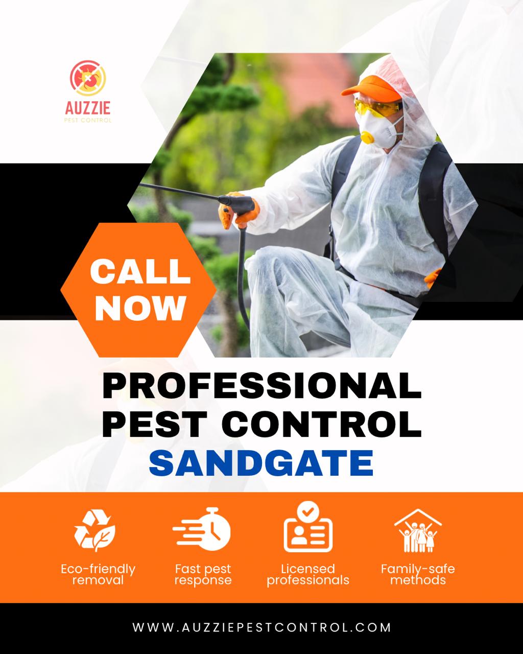 Pest Control Services Sandgate - Auzzie Pest Control